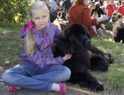 Превью фото № 162762