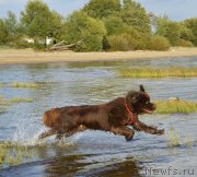 Превью фото № 162778