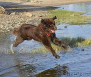 Превью фото № 162780