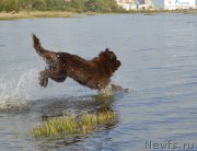 Превью фото № 162783