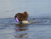 Превью фото № 162784