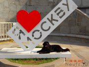 Превью фото № 162831