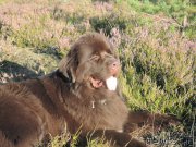 Превью фото № 162835