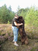 Превью фото № 162841