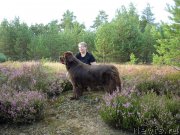 Превью фото № 162843