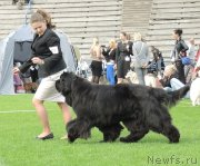 Превью фото № 162849