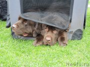 Превью фото № 162851