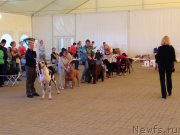 Превью фото № 162854