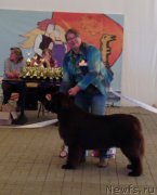 Превью фото № 162856