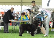 Превью фото № 162860