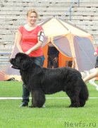 Превью фото № 162861