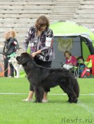 Превью фото № 162864