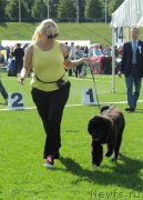 Превью фото № 162865