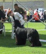 Превью фото № 162868