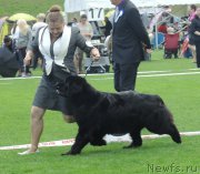 Превью фото № 162873