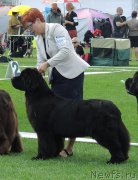 Превью фото № 162875