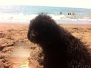 Превью фото № 162881