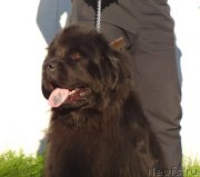 Превью фото № 163000