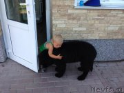 Превью фото № 163072