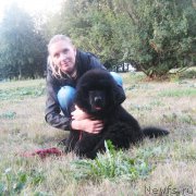 Превью фото № 163095