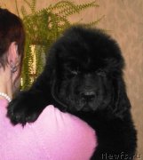 Превью фото № 163121