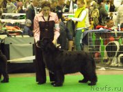 Превью фото № 163147