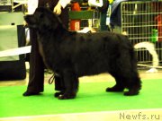 Превью фото № 163148