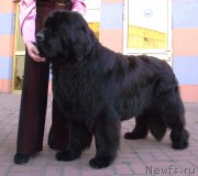 Превью фото № 163153