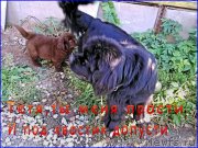 Превью фото № 163278