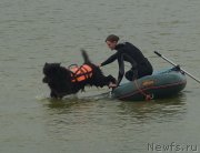 Превью фото № 163287