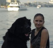 Превью фото № 163294