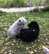 Превью фото № 163366