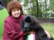 Превью фото № 163460