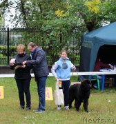 Превью фото № 163463