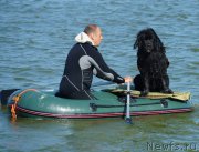 Превью фото № 163581