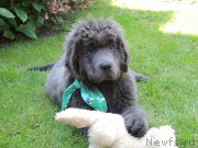 Превью фото № 163598