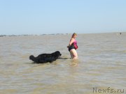 Превью фото № 163665