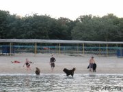 Превью фото № 163672