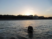 Превью фото № 163673