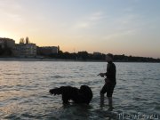 Превью фото № 163674