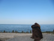 Превью фото № 163678