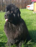 Превью фото № 163715