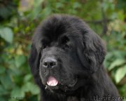 Превью фото № 163751