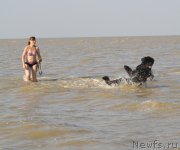 Превью фото № 163757