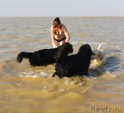 Превью фото № 163758