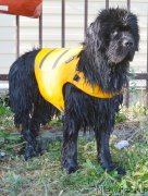 Превью фото № 163768