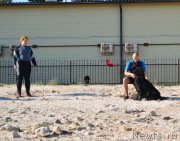 Превью фото № 163778