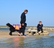 Превью фото № 163786