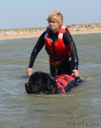 Превью фото № 163794