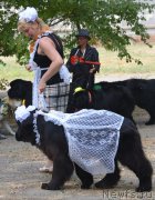 Превью фото № 163829